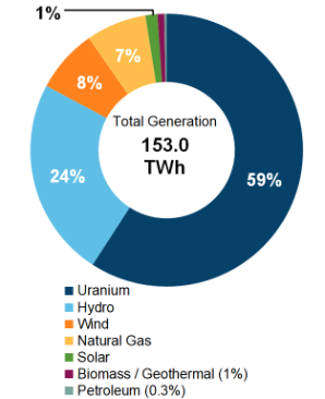 Figure 2: Electricity Generation by Fuel Type (2019)