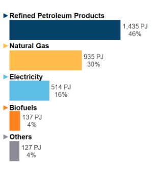 End-Use Demand by Fuel (2019)