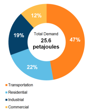 Figure 2: End-Use Demand by Sector (2019)