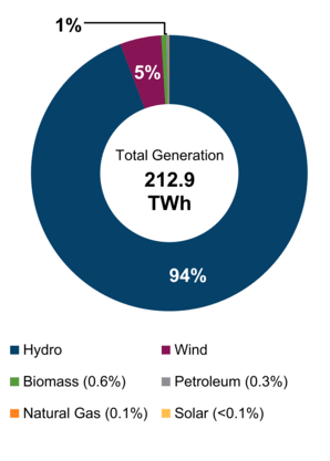 Figure 1: Electricity Generation by Fuel Type (2019)