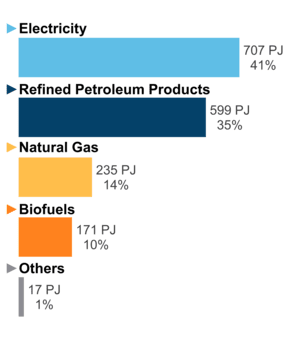 Figure 5: End-Use Demand by Fuel (2020)