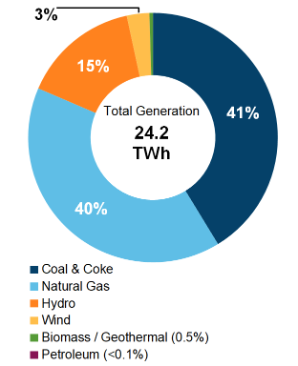 Figure 2: Electricity Generation by Fuel Type (2019)