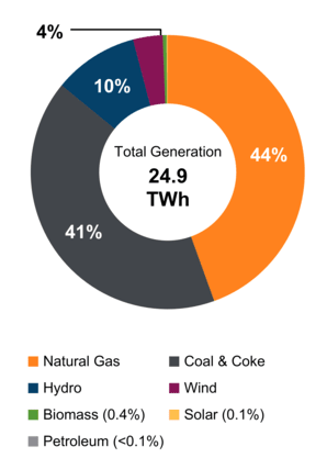 Figure 2: Electricity Generation by Fuel Type (2019)