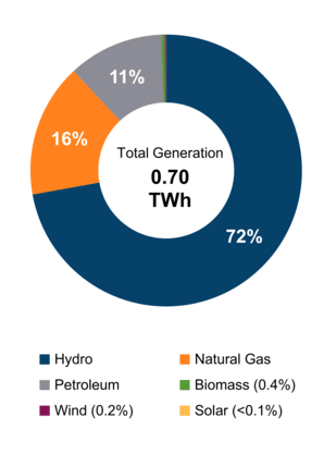 Figure 1: Electricity Generation by Fuel Type (2021)