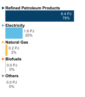 Figure 3: End-Use Demand by Fuel (2020)