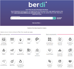 A screenshot of the BERDI search tool