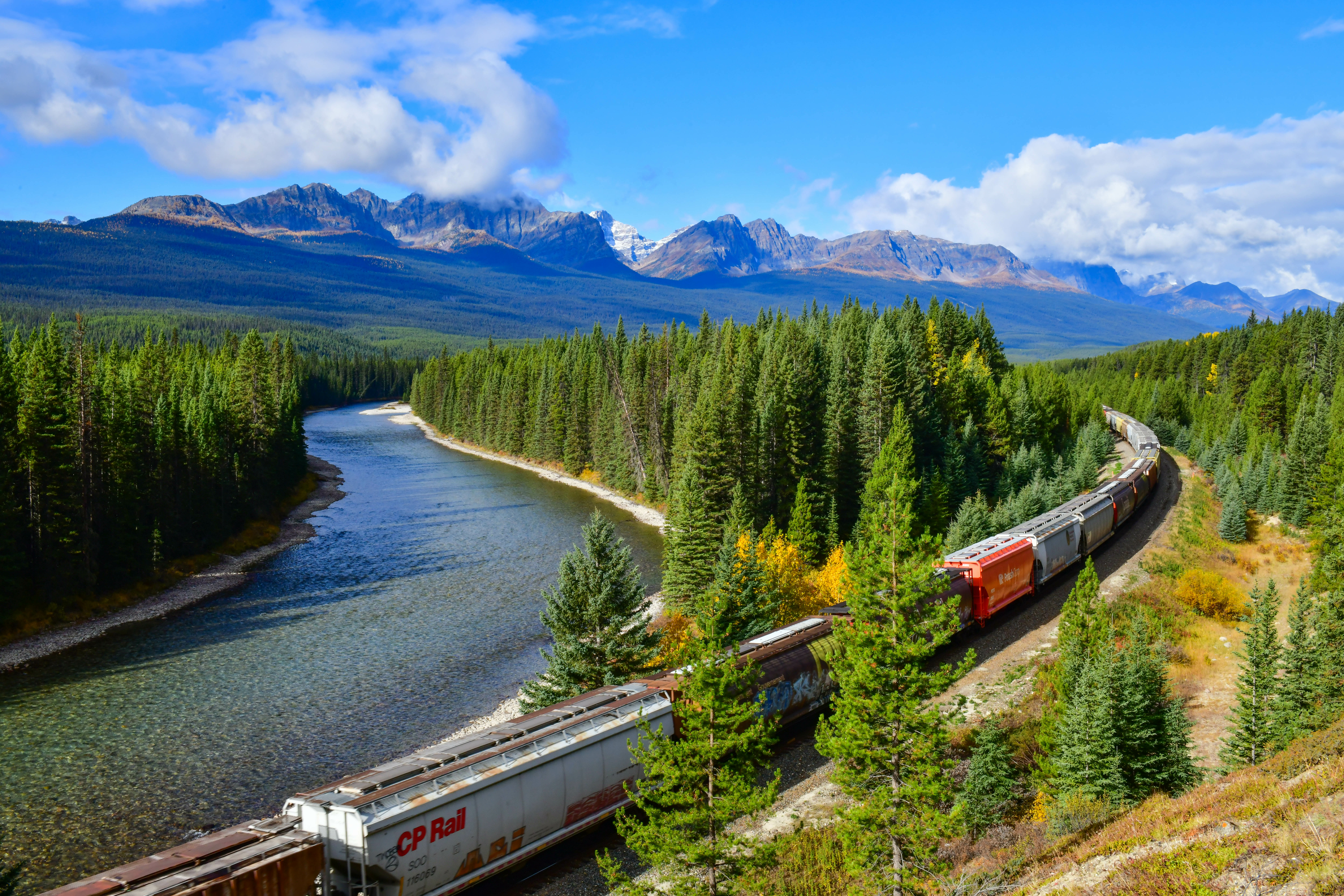 CP Rail train moving through Alberta Rockies, through forest with river beside and mountains in the background.