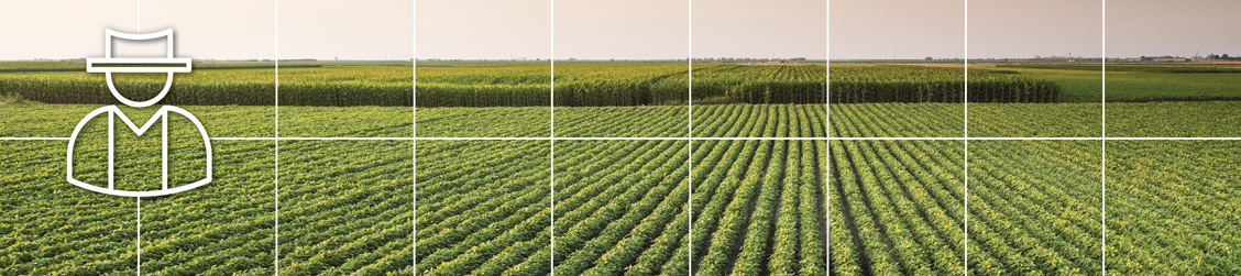 Banner with white intersecting lines and icon showing soybean field at sunset