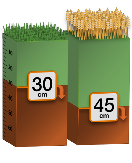 Depth infographic