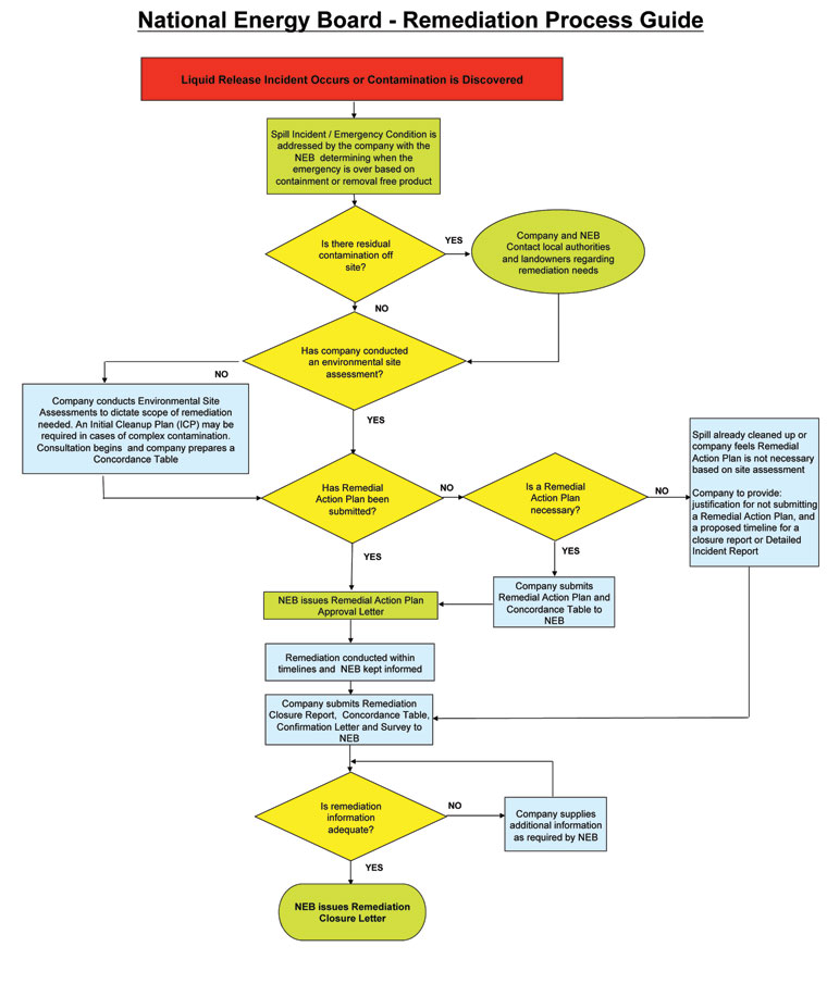 Remediation Process Guide Flowchart