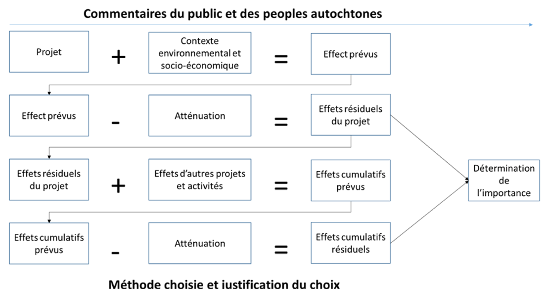 Figure 6-1 : Processus d’EES du point de vue du demandeur
