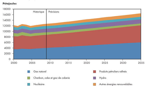 Figure 3.6 - Demande d’énergie primaire selon le combustible