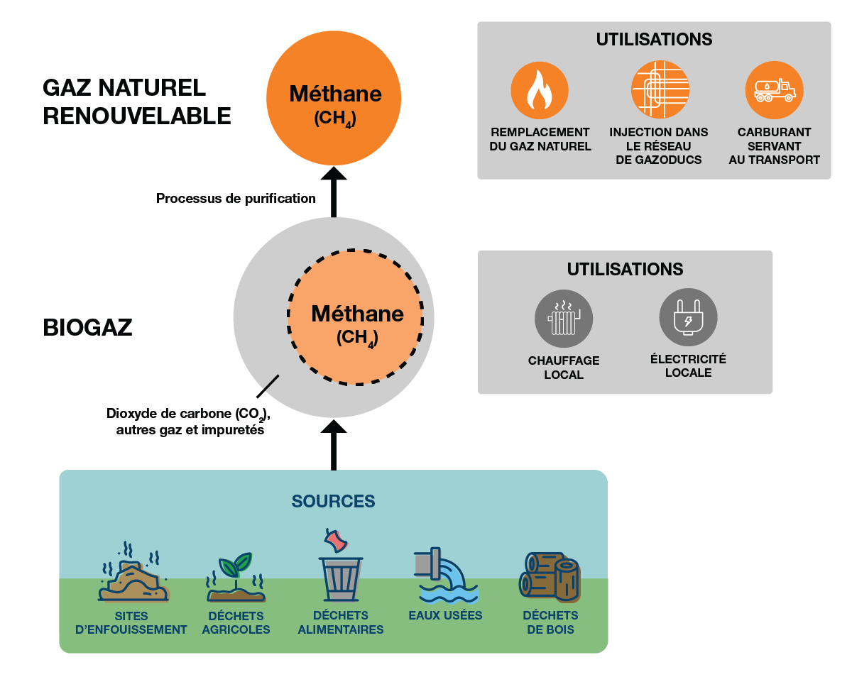 Biogaz et gaz naturel renouvelable (GNR)