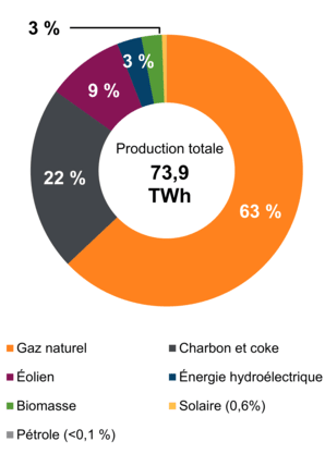 Figure 2 : Production d’électricité selon le type de combustible (2019)