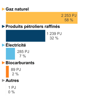 Figure 6 : Demande pour utilisation finale selon le combustible (2019)