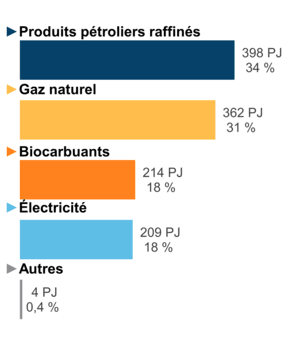 Figure 6 – Demande pour utilisation finale selon le combustible (2020)