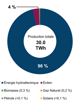 Figure 2 : Production d’électricité selon le type de combustible (2019)