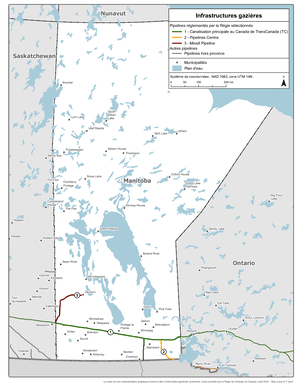 Figure 4 : Carte des infrastructures du gaz naturel