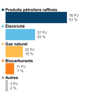 Figure 5 : Demande pour utilisation finale selon le combustible (2019)