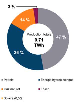 Figure 2 : Production d’électricité selon le type de combustible (2019)