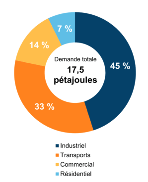 Figure 5 : Demande pour utilisation finale selon le secteur (2019)