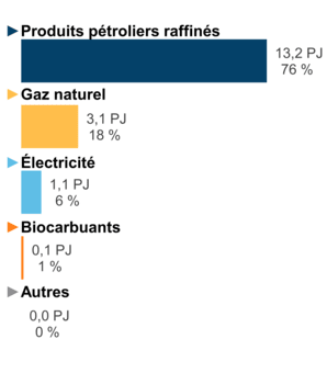 Figure 6 : Demande pour utilisation finale selon le combustible (2019)