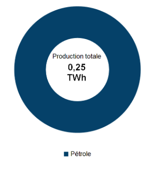 Figure 1 : Production d’électricité selon le type de combustible (2019)