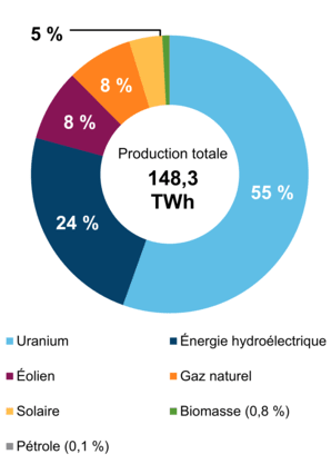 Figure 2 : Production d’électricité selon le type de combustible (2019)