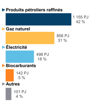 Figure 6 : Demande pour utilisation finale selon le combustible (2019)