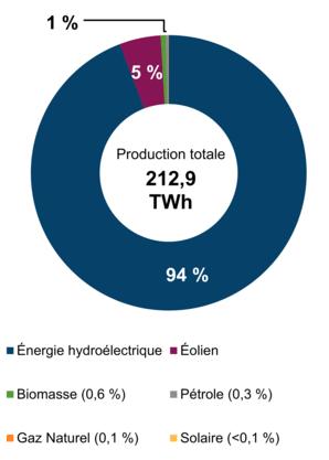 Figure 1 : Production d’électricité selon le type de combustible (2019)