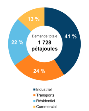 Figure 4 : Demande pour utilisation finale selon le secteur (2019)