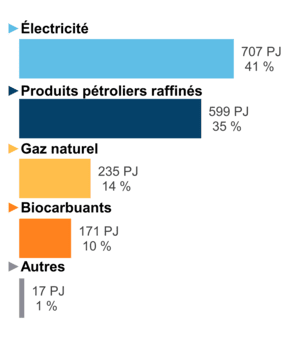 Figure 5 : Demande pour utilisation finale selon le combustible (2019)