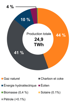 Figure 2 : Production d’électricité selon le type de combustible (2019)