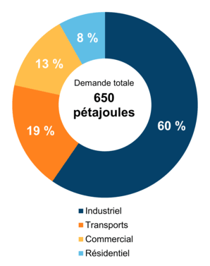 Figure 5 : Demande pour utilisation finale selon le secteur (2019)