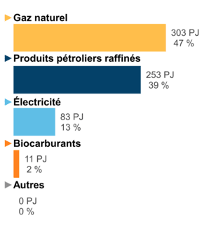 Figure 6 : Demande pour utilisation finale selon le combustible (2019)