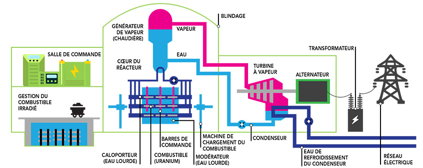 Figure 1 : Réacteur CANDU
