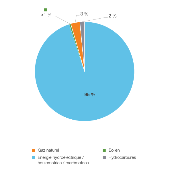 Figure 19 : Production d’électricité selon le type de combustible en 2018