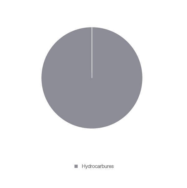 Figure 31 : Production d’électricité selon le type de combustible en 2018