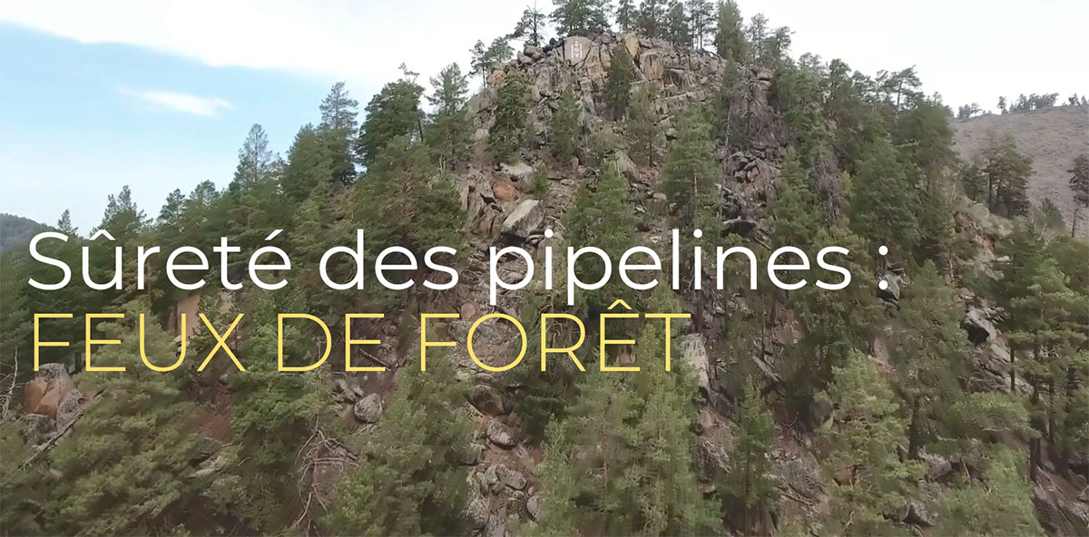 Sûreté des pipelines : feux de forêt